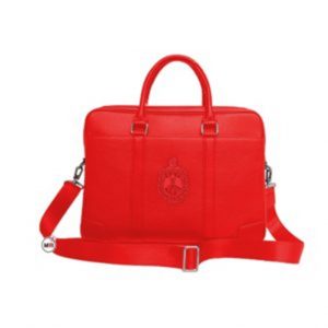 DST Laptop Bag